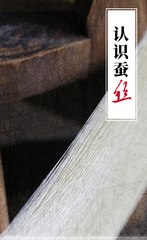 认识蚕丝